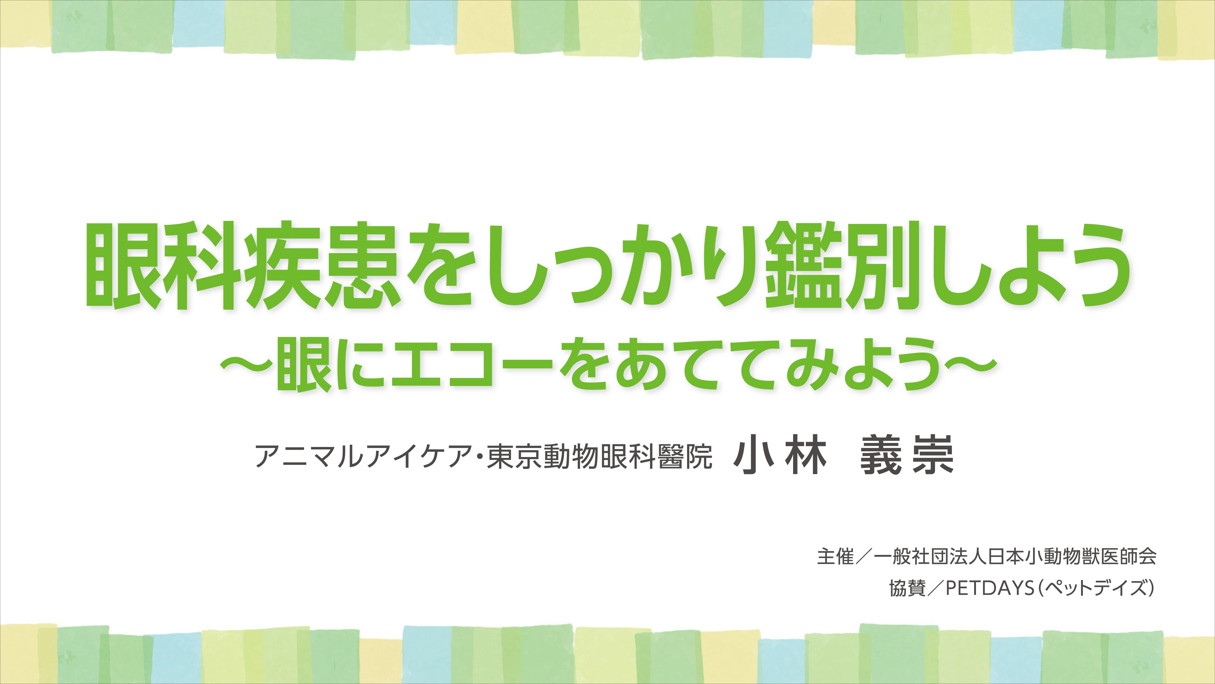 『眼科疾患をしっかり鑑別しよう～眼にエコーをあててみよう～』セミナー画像